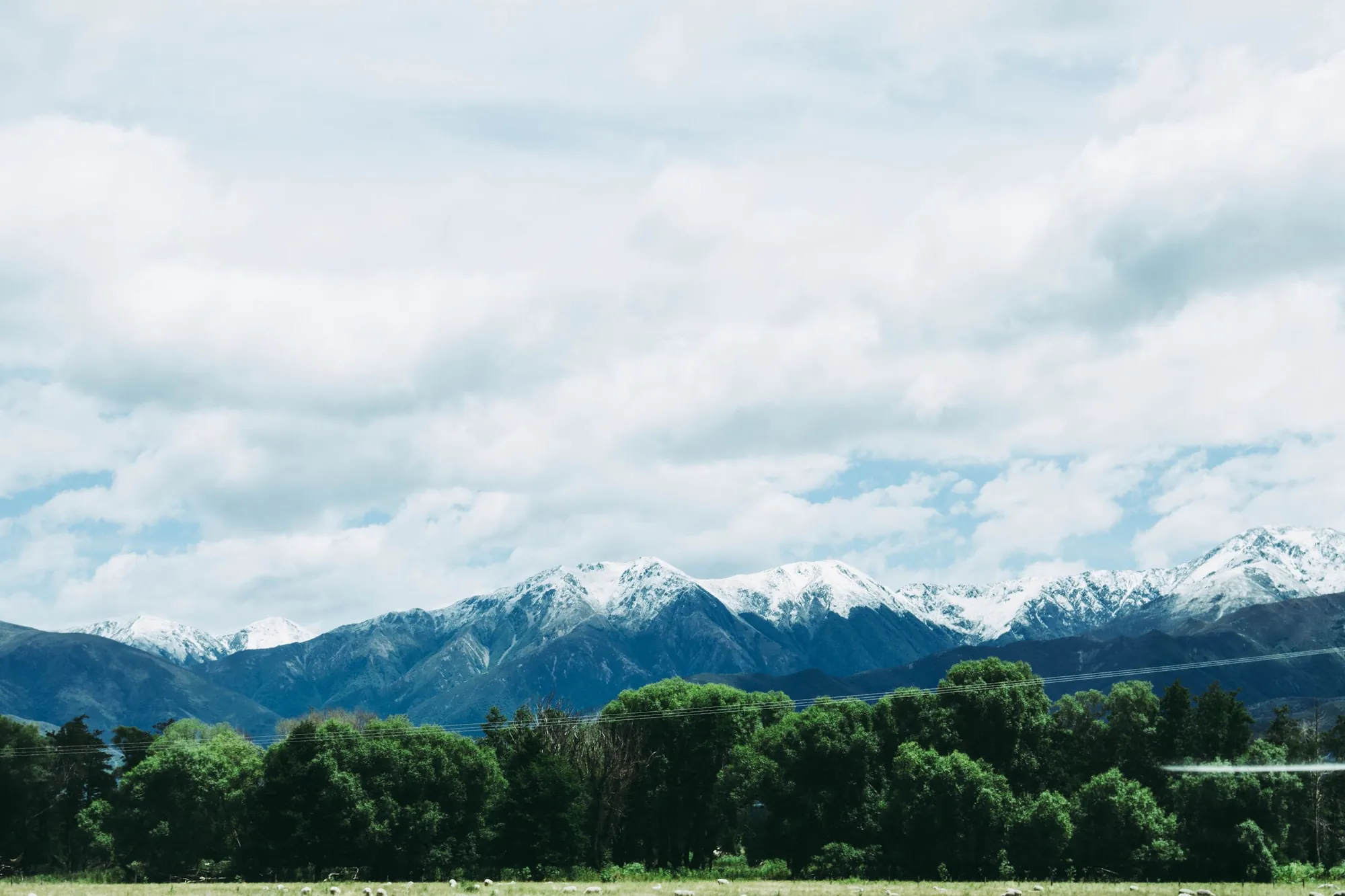 Saltgrass Reach