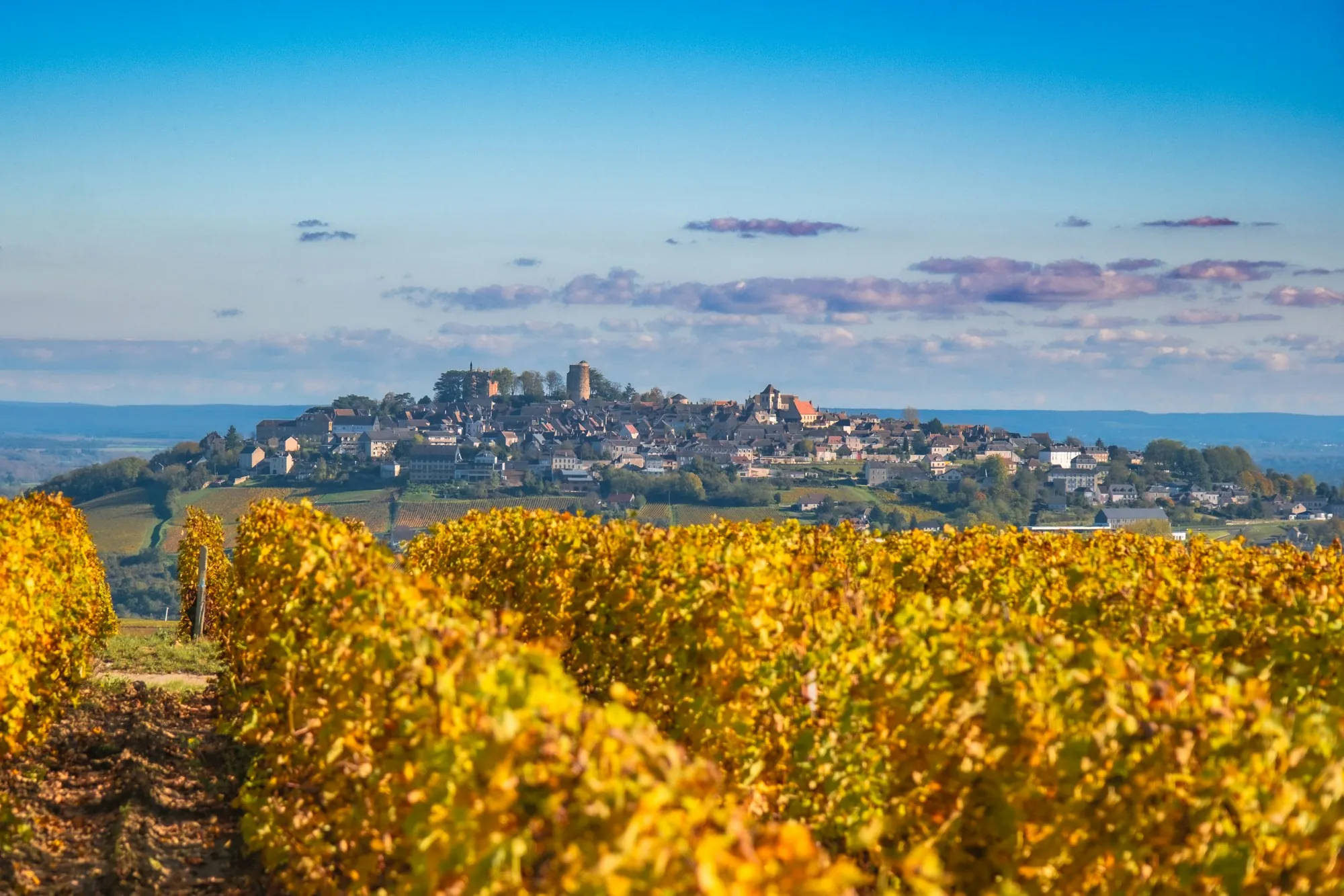 Domaine Brumerais