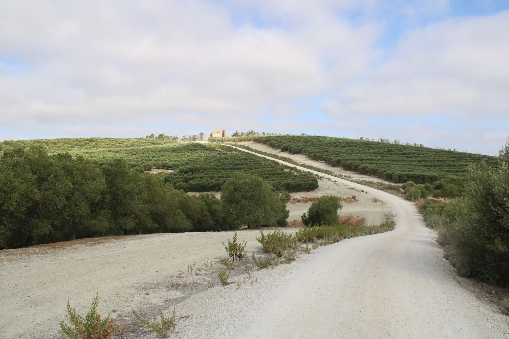 Bodegas Velarcos
