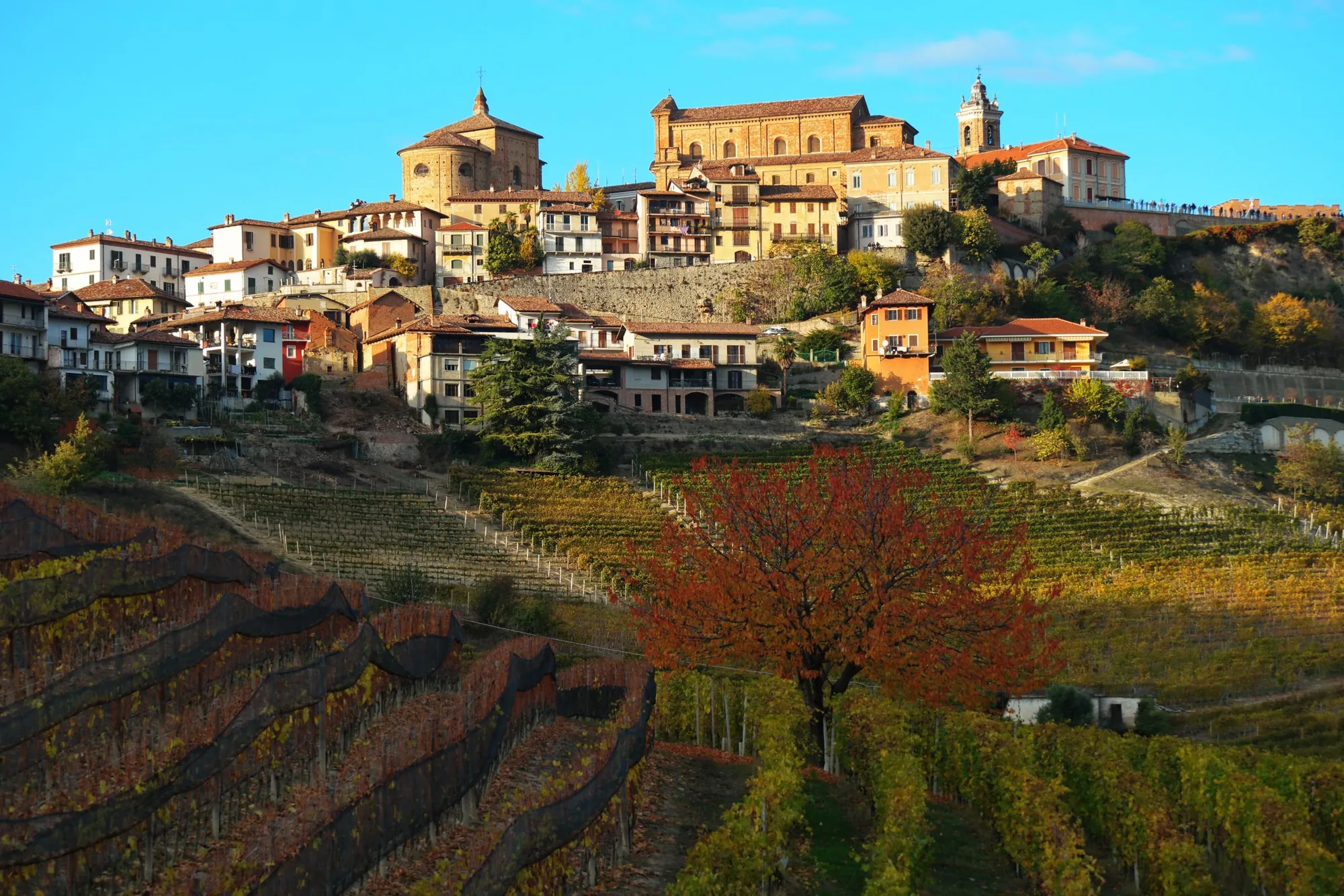 Santa Ilvenna