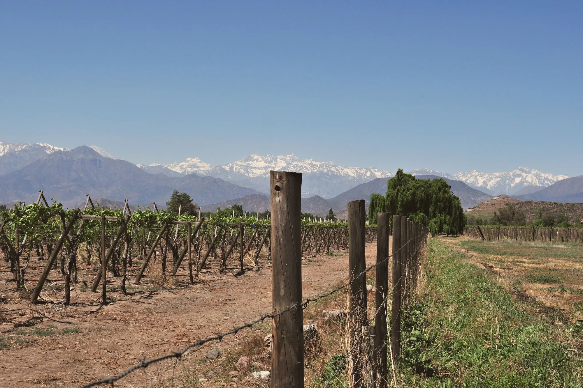 Bodega Cerrovento
