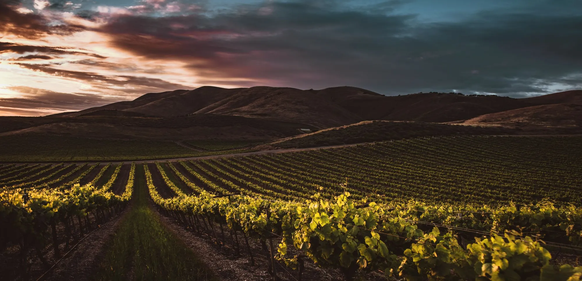 Brindlestone Cellars