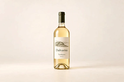 Dalvarini Turbiana 2024